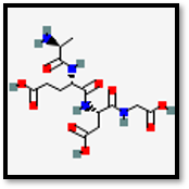 Epithalon